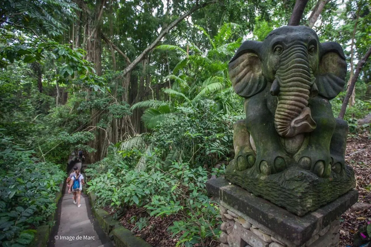Dewangga Ubud Guest house Ubud (Bali)